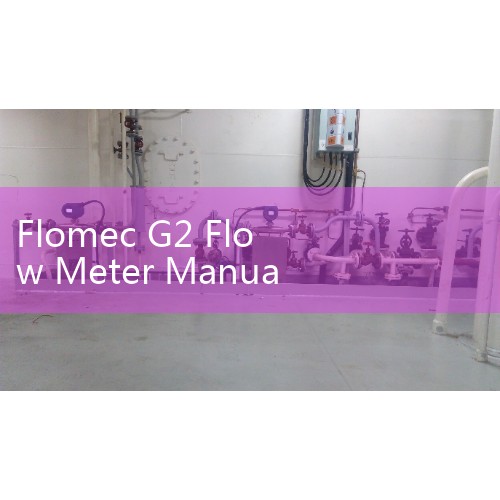 Flomec G2 Flow Meter Manual Download: Sizing and Electronic Digital Display Setup